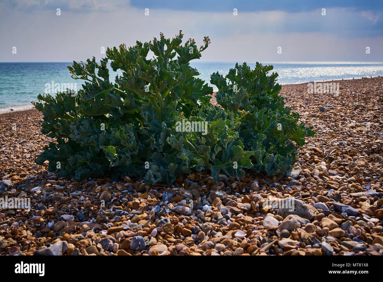 east preston beach Stock Photo