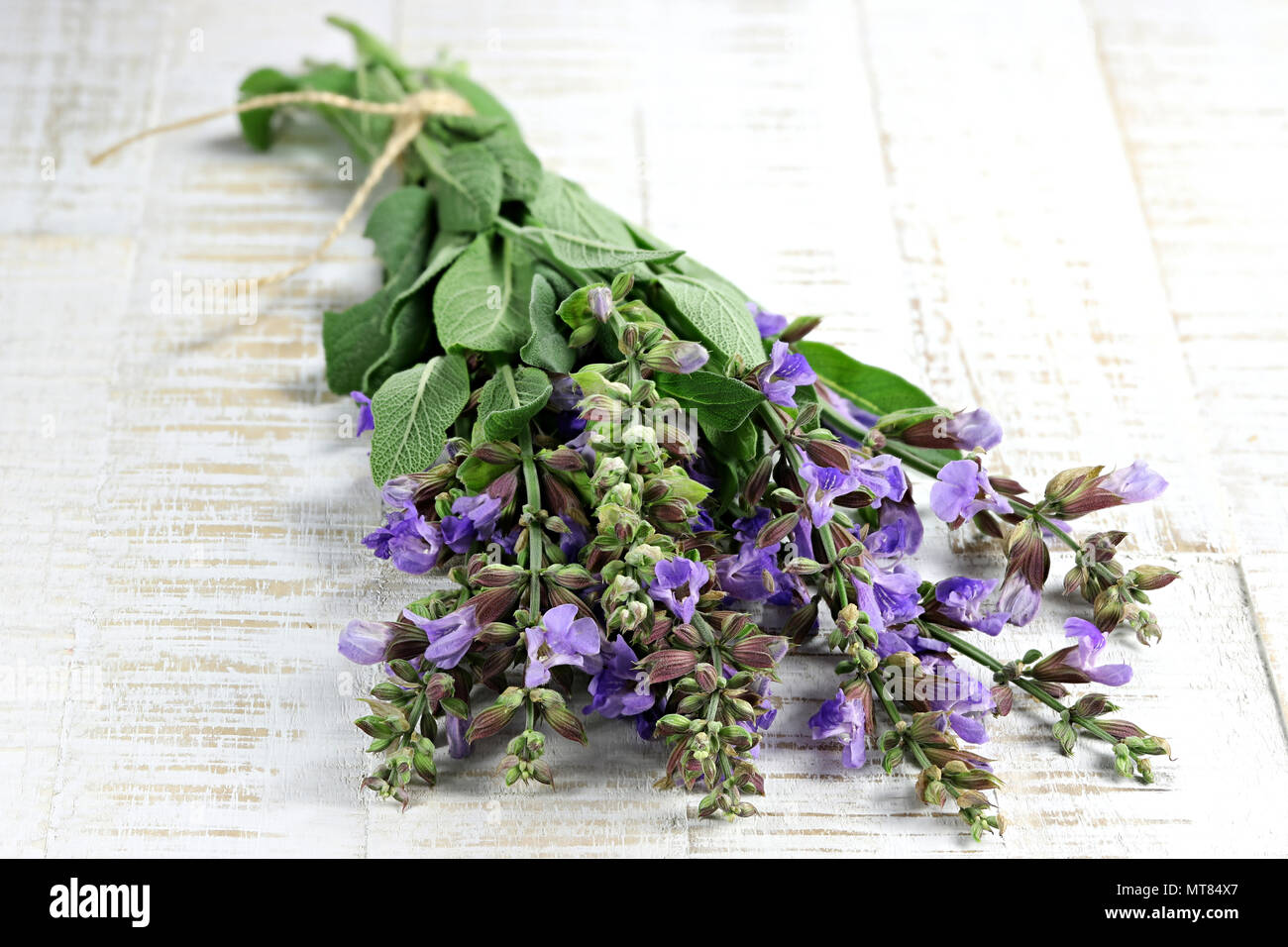 bunch of sage on wooden background Stock Photo