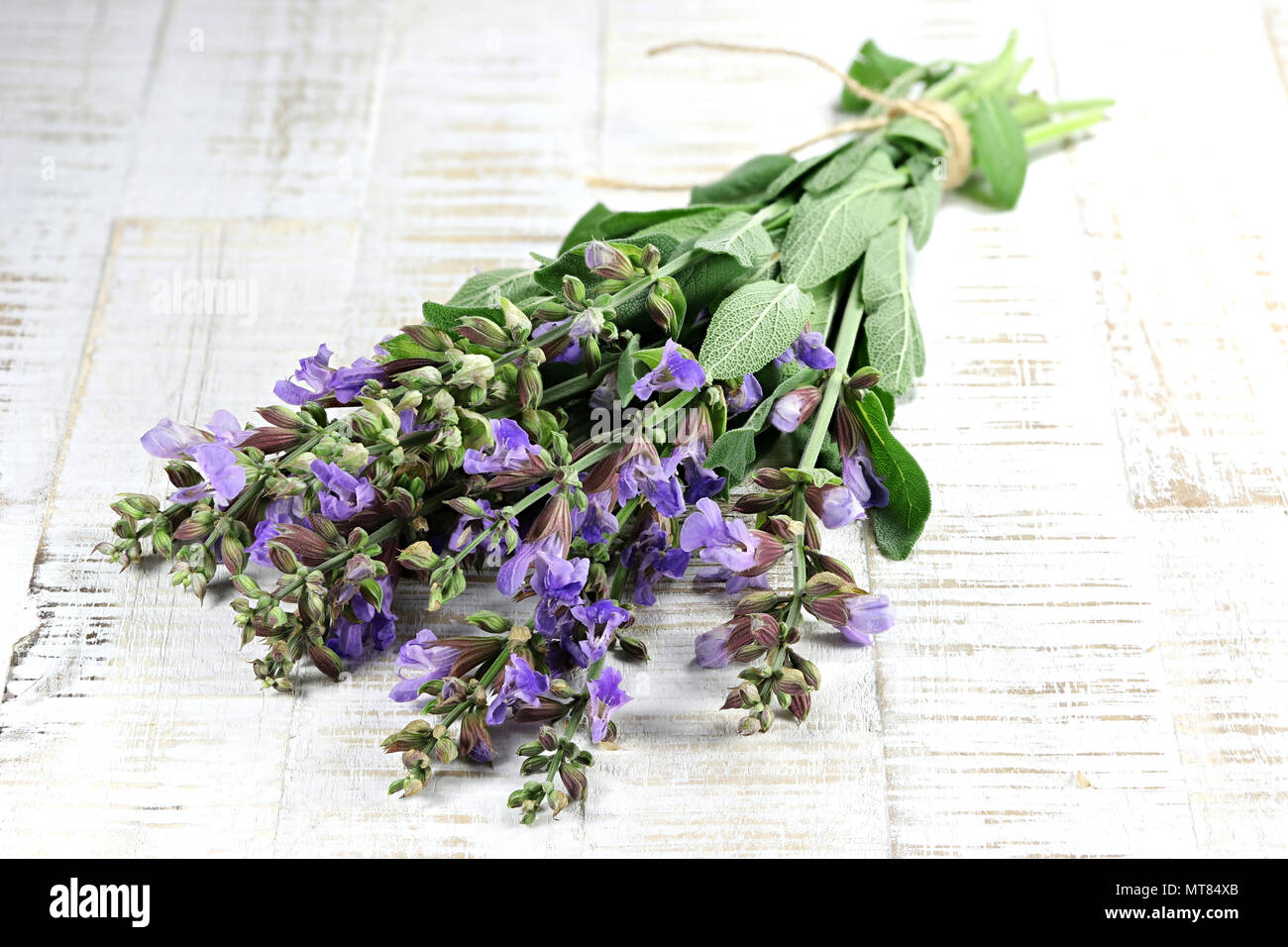 bunch of sage on wooden background Stock Photo
