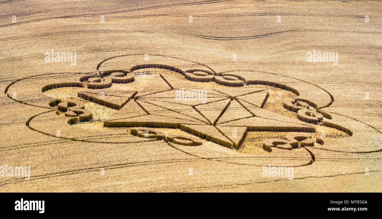 Wiltshire UK - The crop circle - who did it ? Stock Photo