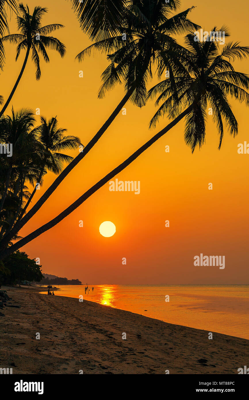 Sunset on the beach of Bang Por on Koh Samui in Thailand Stock Photo