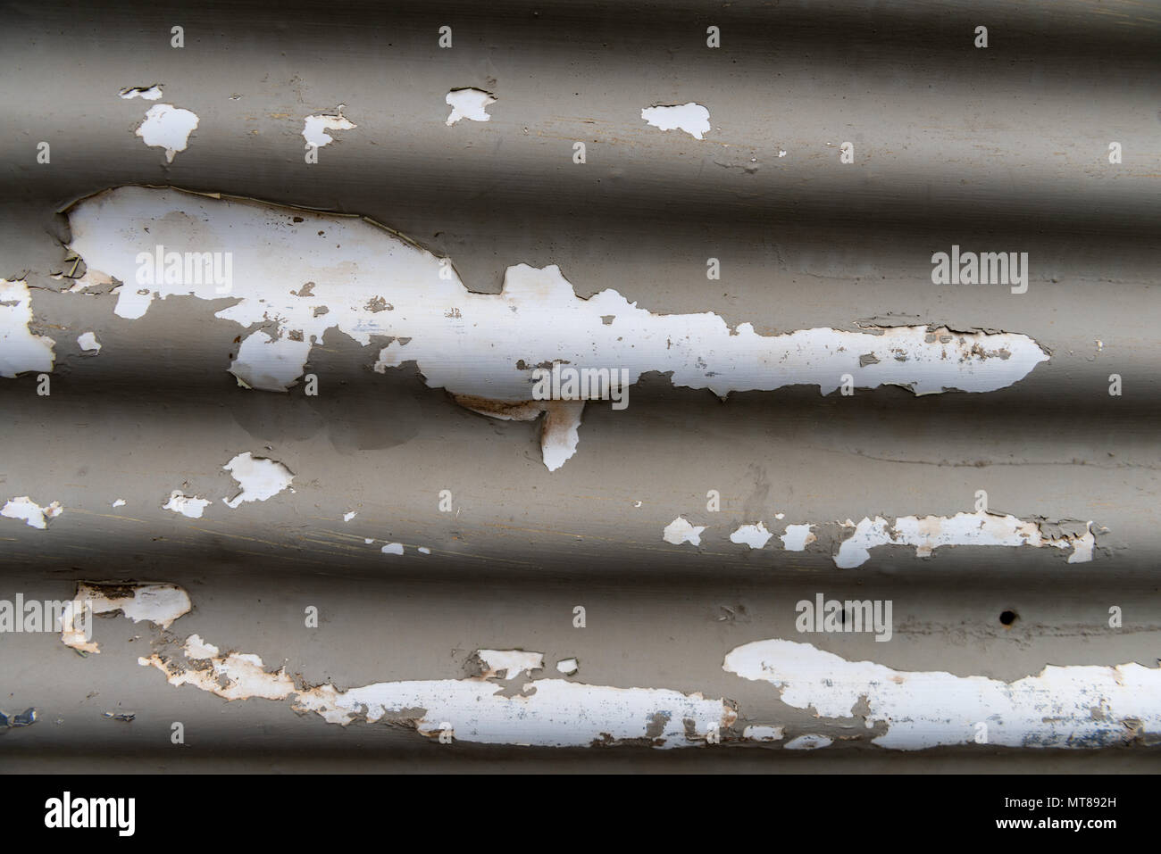 Peeling Paint on corrugated tin Stock Photo Alamy