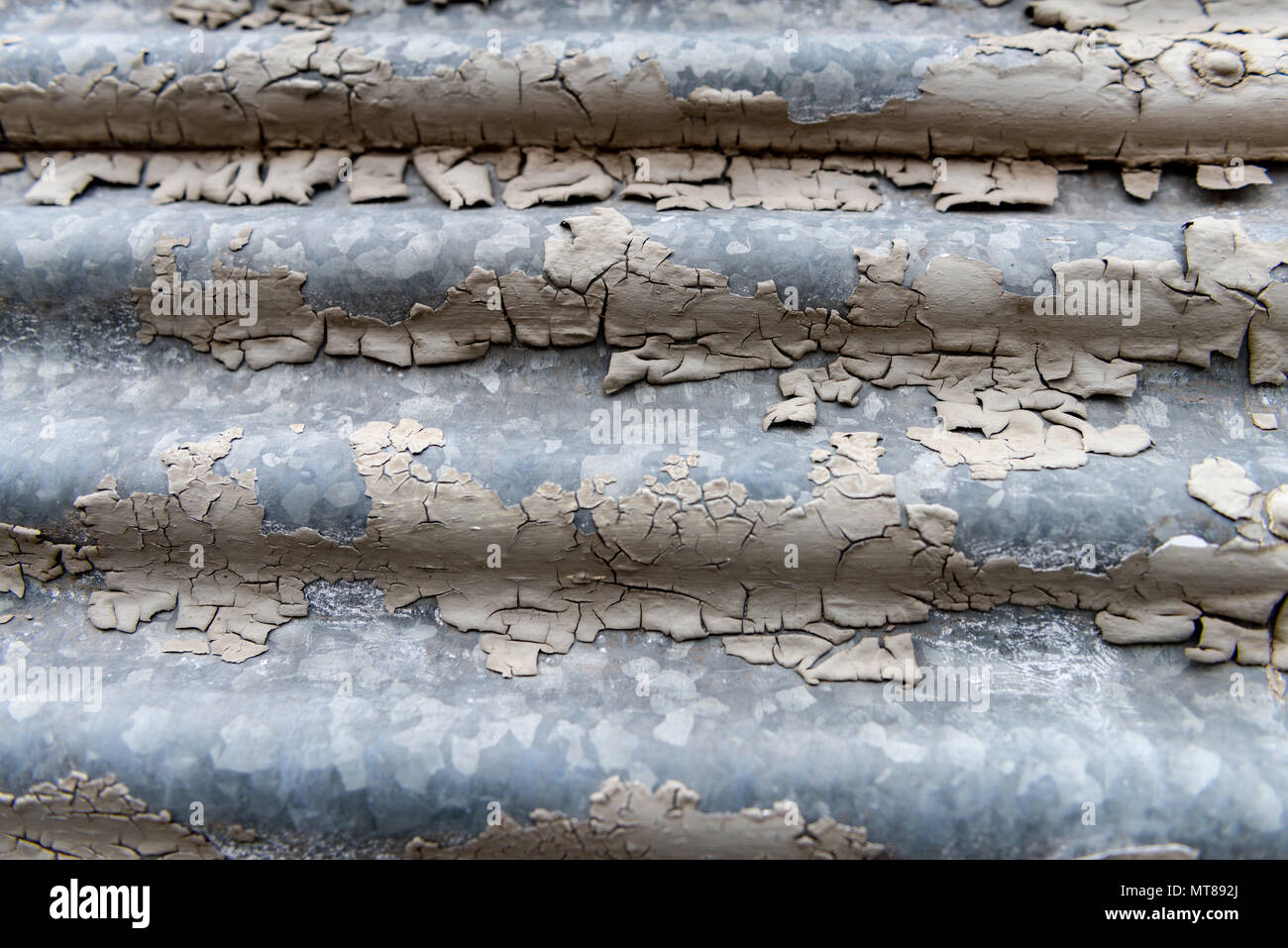 Peeling Paint on corrugated tin Stock Photo Alamy