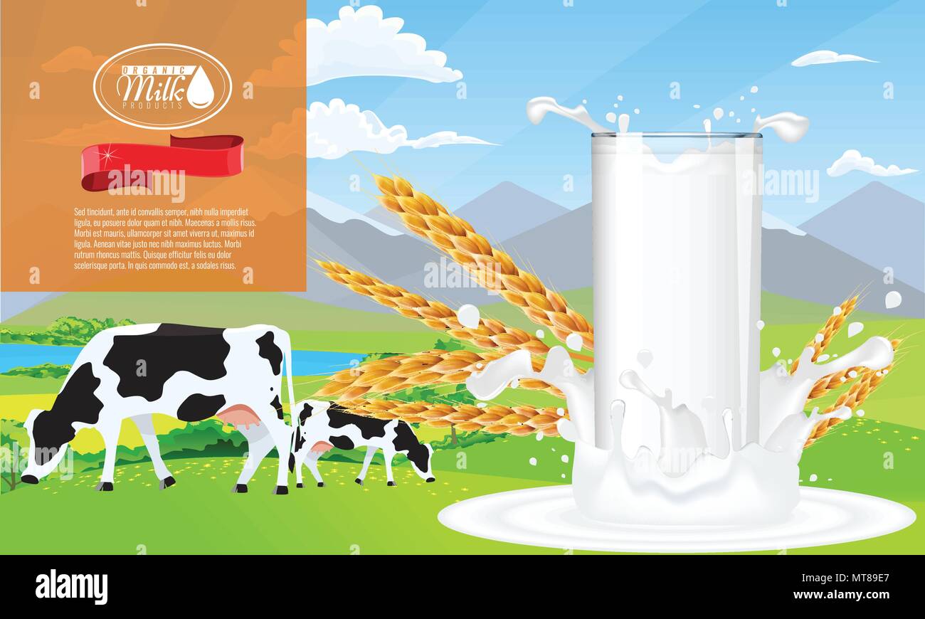 Milk splash and farm ad template layout, with milk pouring white space