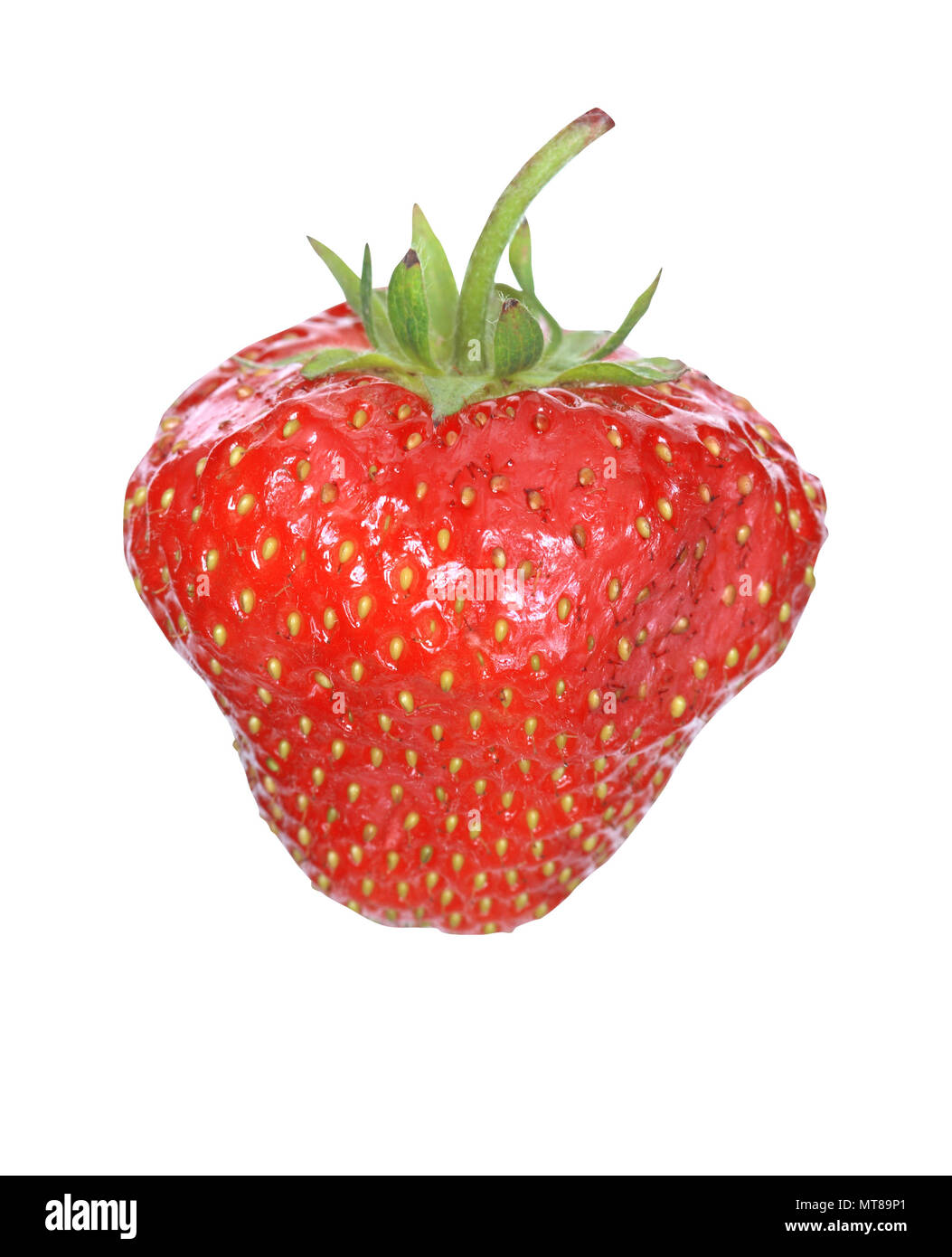 Closeup of fresh strawberry isolated on white background with clipping ...