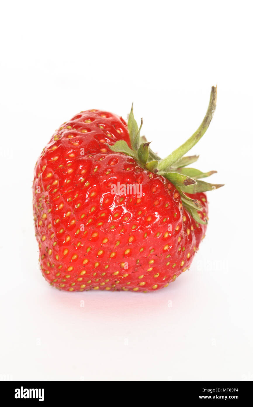 Closeup of fresh strawberry isolated on white background Stock Photo ...