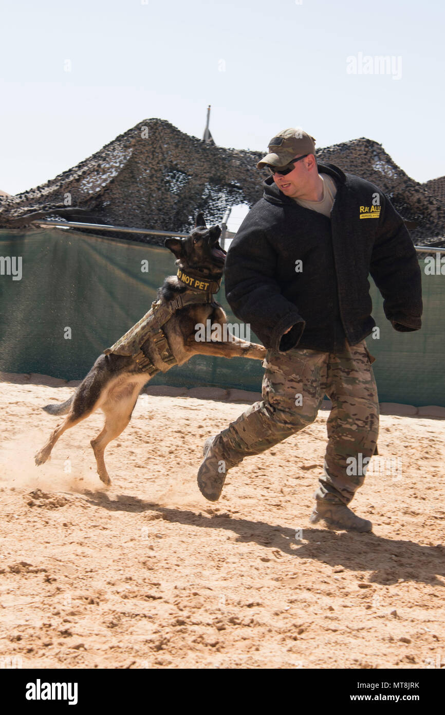 The 332nd Expeditionary Security Forces Squadron hosted a military ...