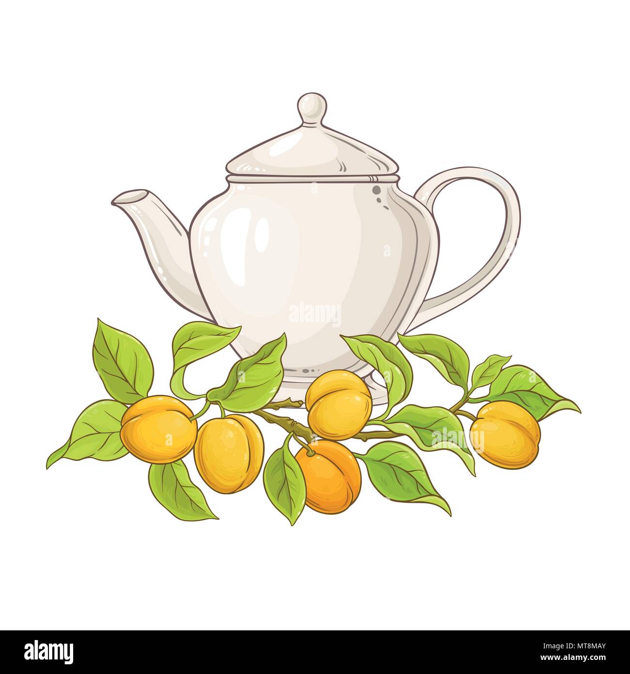 apricot tea vector illustration on white backgrond Stock Vector