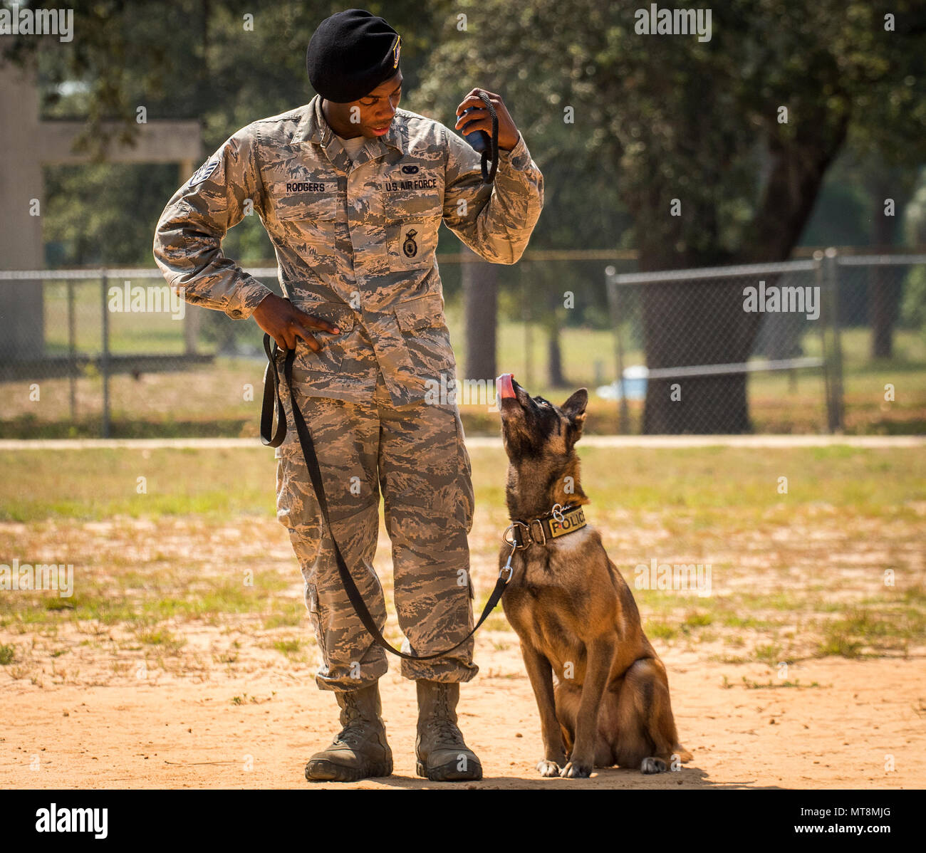 dog handler school