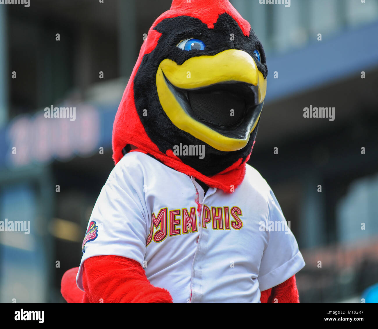 Auto Zone Park. 28th May, 2018. TN, USA; Memphis Redbirds mascot, ROCKY,  during the Pacific Coast League Triple-A baseball game at Auto Zone Park.  Memphis defeated Colorado, 2-1. Kevin Langley/CSM/Alamy Live News