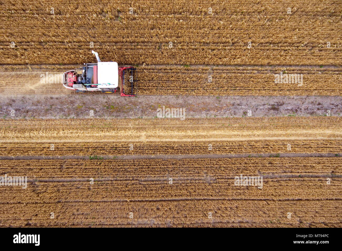 Yuncheng, China's Shanxi Province. 29th May, 2018. A harvester collects wheat in the fields in Yuncheng, north China's Shanxi Province, May 29, 2018. Credit: Cao Yang/Xinhua/Alamy Live News Stock Photo