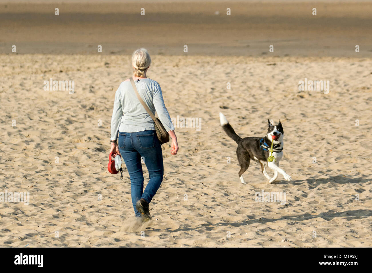 Is Crosby Beach Dog Friendly