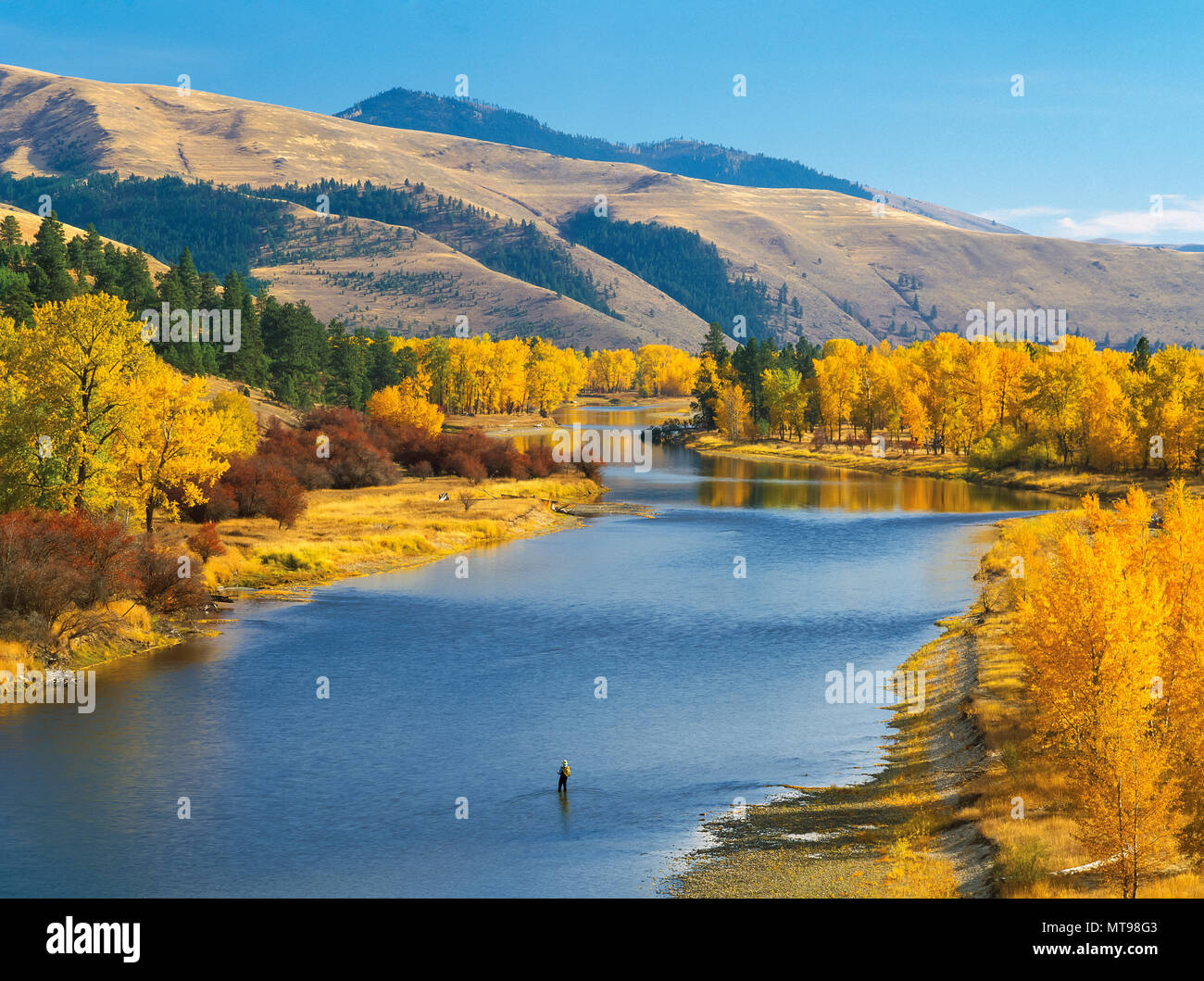Fisherman And Fall Colors Along The Bitterroot River Near Missoula Montana Stock Photo Alamy