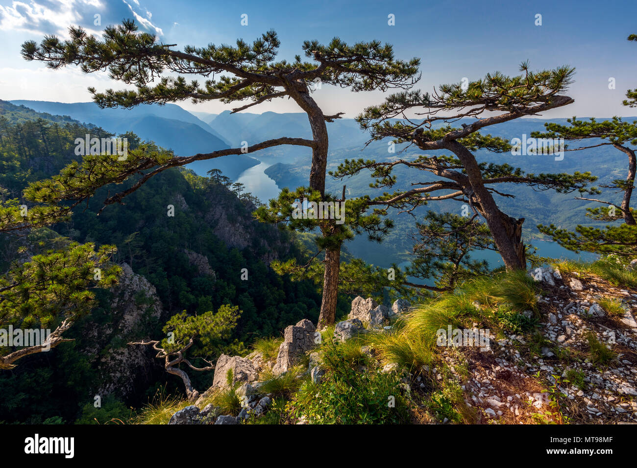 View from Banjska stena on Drina river, Serbia Stock Photo - Alamy