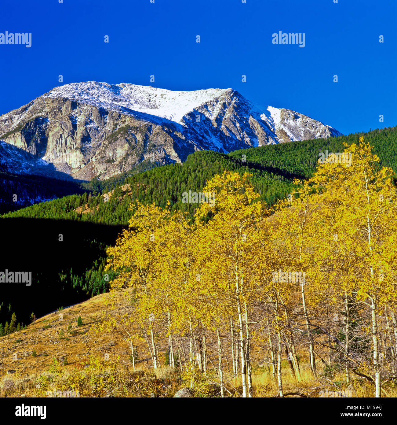My Image 11
