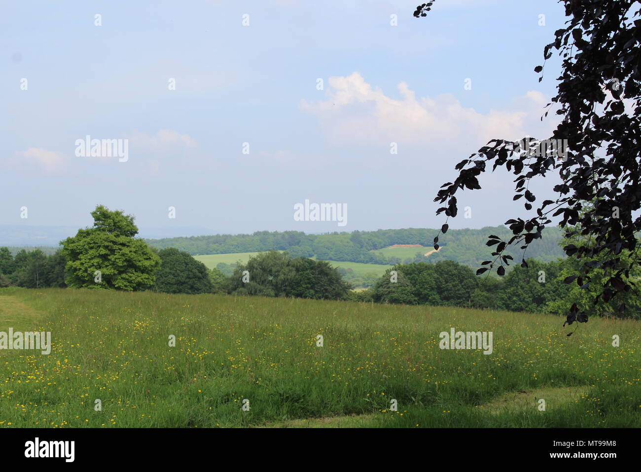 English countryside with rolling hills and fields at Emmetts Garden