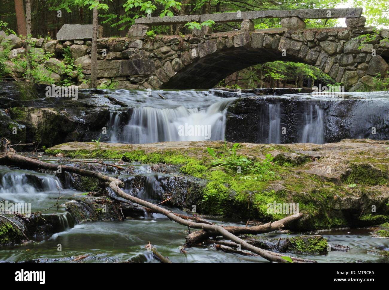 Vaughan Woods, Waterfalls, Hobbit Land, National Park, Hiking Trail
