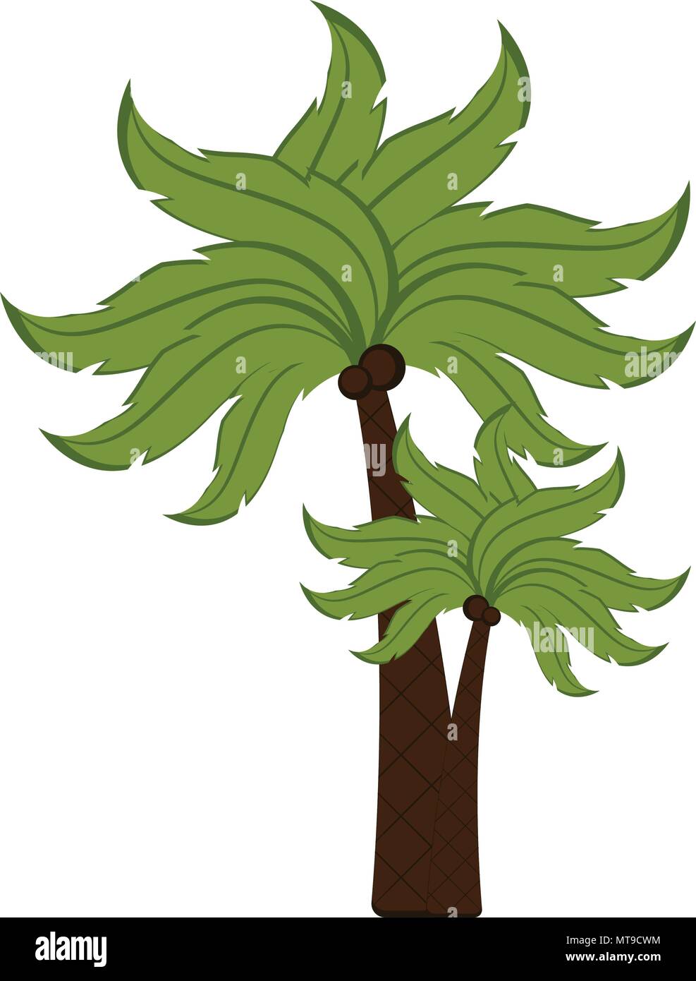 Isolated palm tree icon Stock Vector Image & Art - Alamy