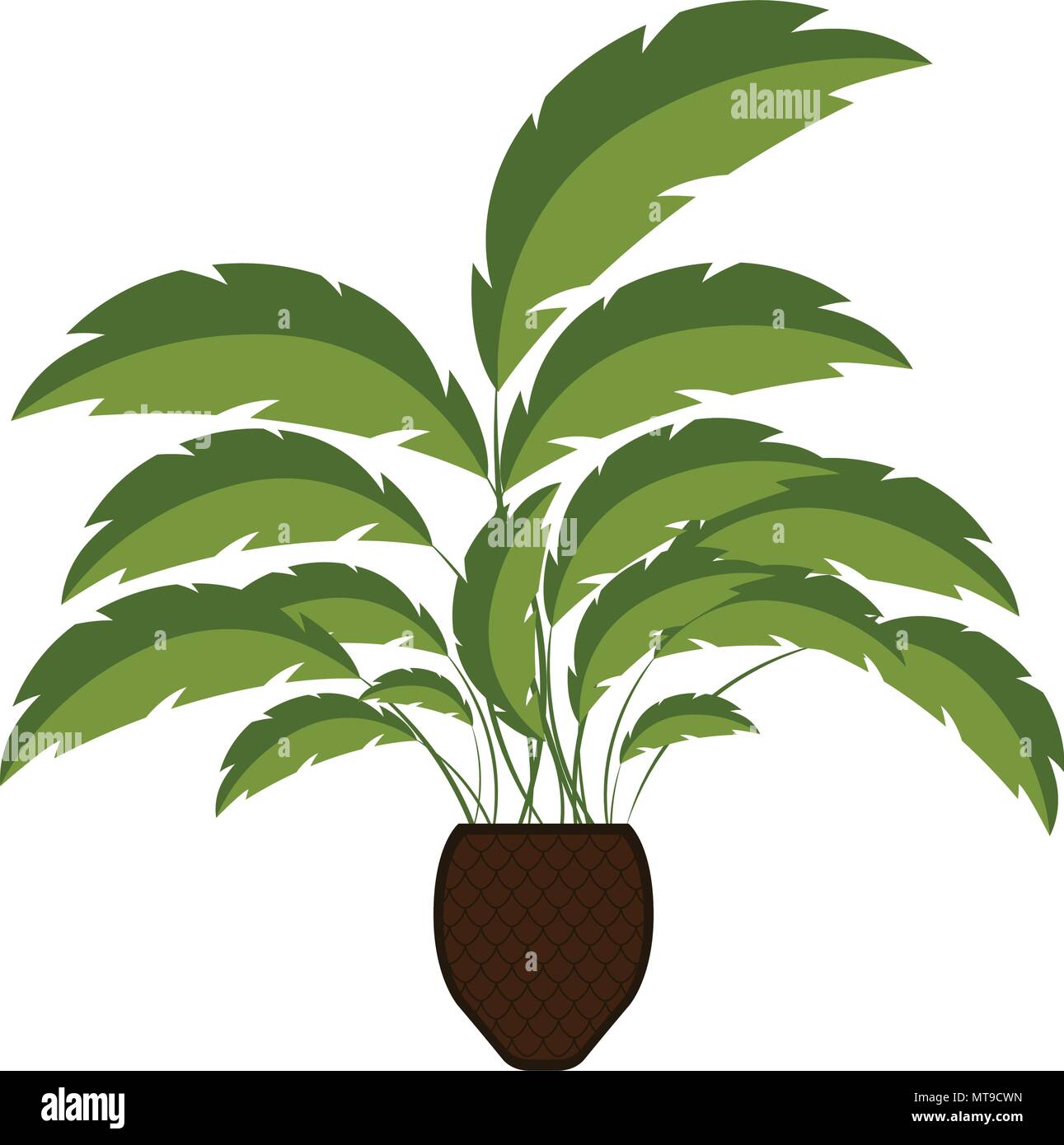 Isolated palm tree icon Stock Vector Image & Art - Alamy