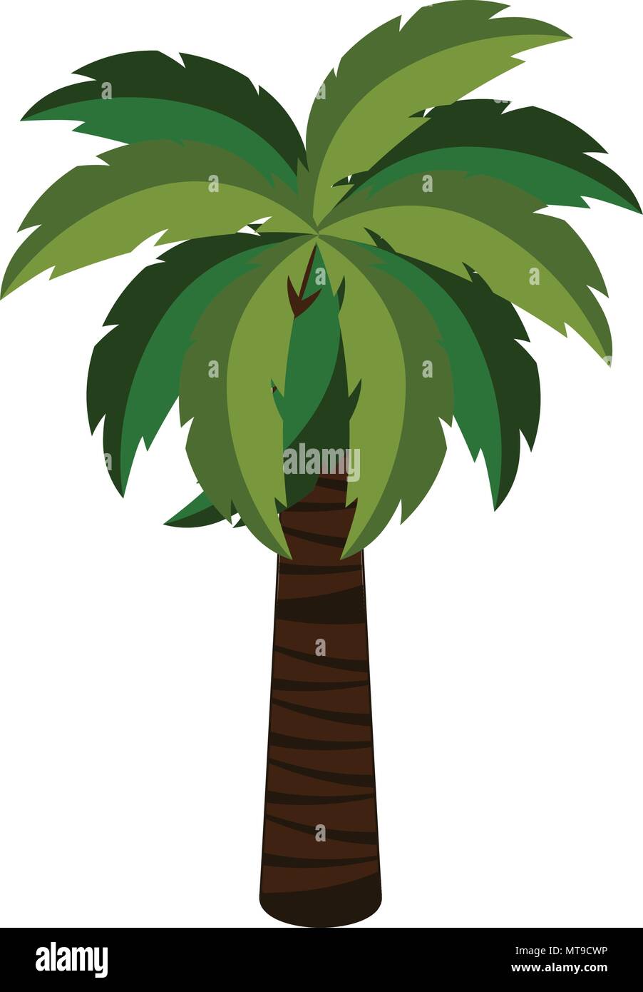 Isolated palm tree icon Stock Vector Image & Art - Alamy