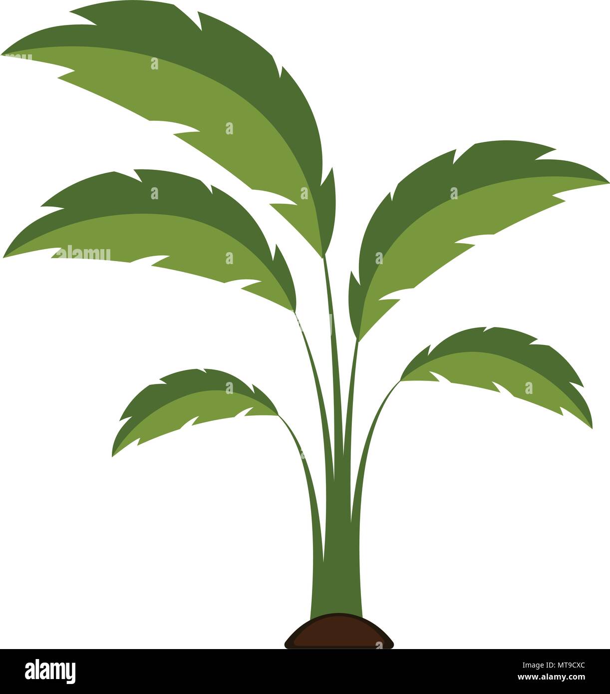 Isolated tree icon Stock Vector Image & Art - Alamy