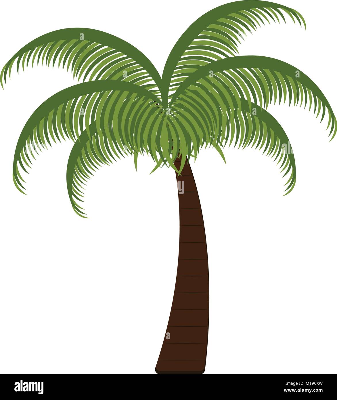 Isolated palm tree icon Stock Vector Image & Art - Alamy