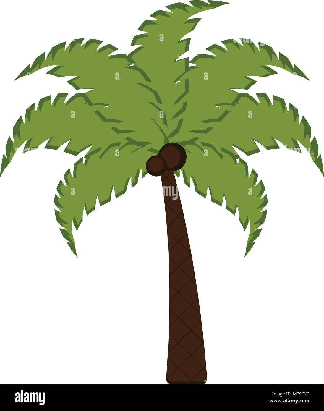 Isolated palm tree icon Stock Vector Image & Art - Alamy