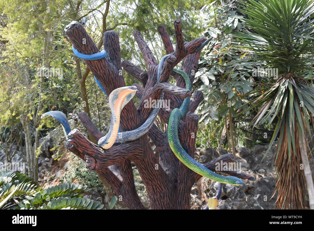 Artificial snake is involved in the tree in a park, Dinajpur,Bangladesh