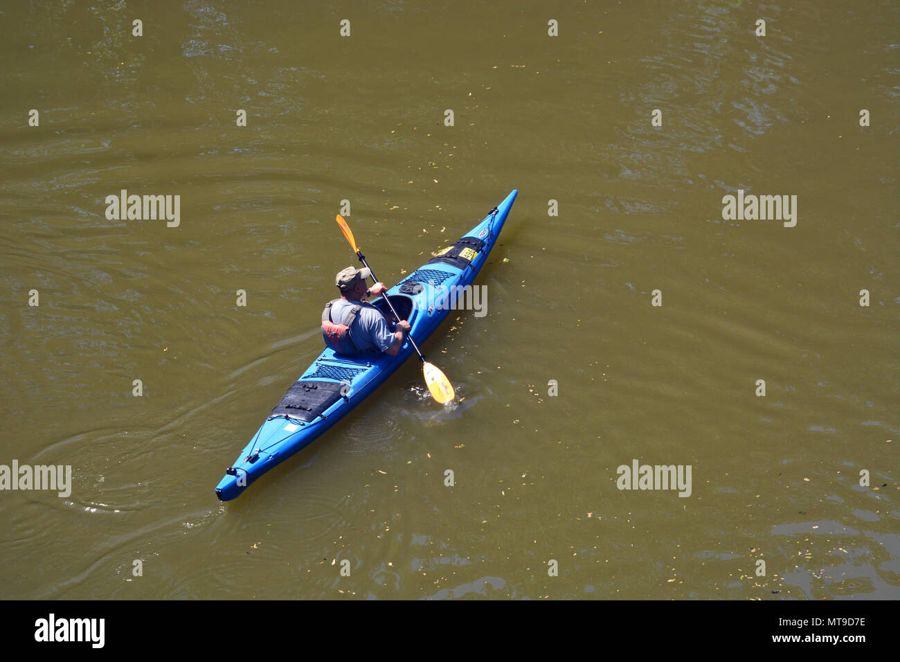 Male paddler moving down a river in a blue kayak. Stock Photo