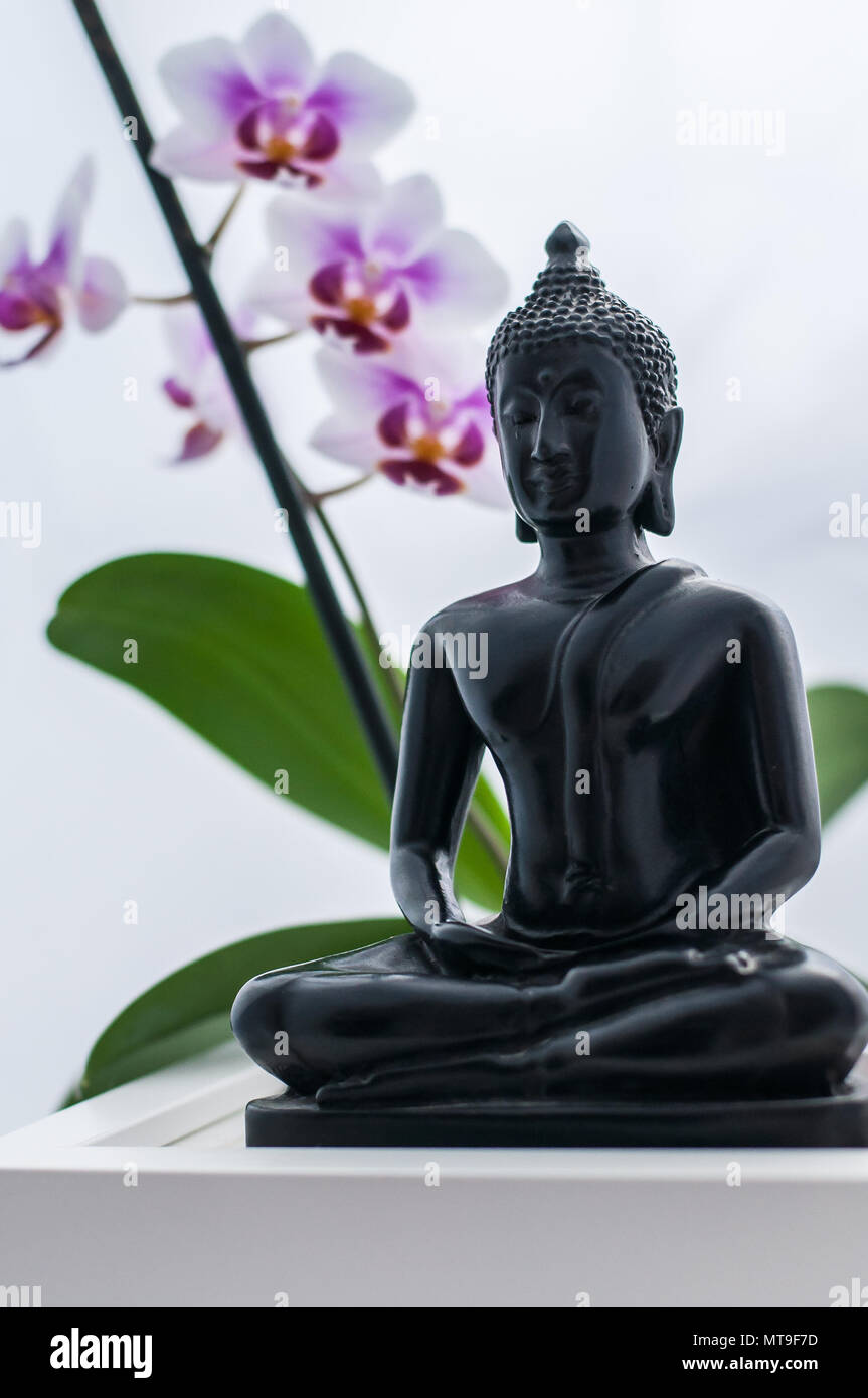 Buddha and Orchid Stock Photo - Alamy