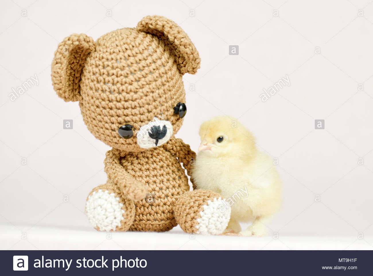 next day of teddy day