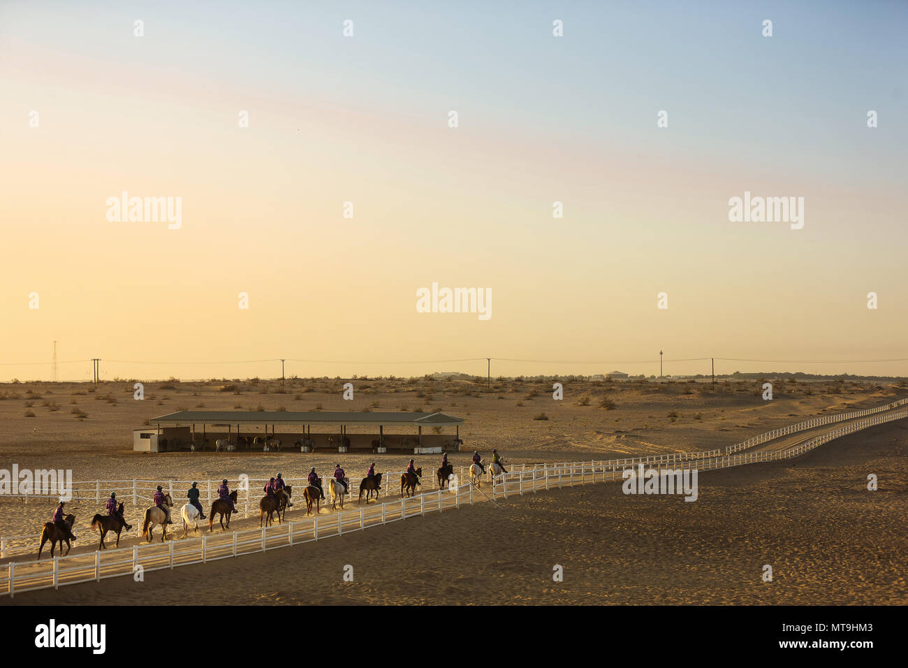 Group of endurance riders in the desert. Abu Dhabi Stock Photo