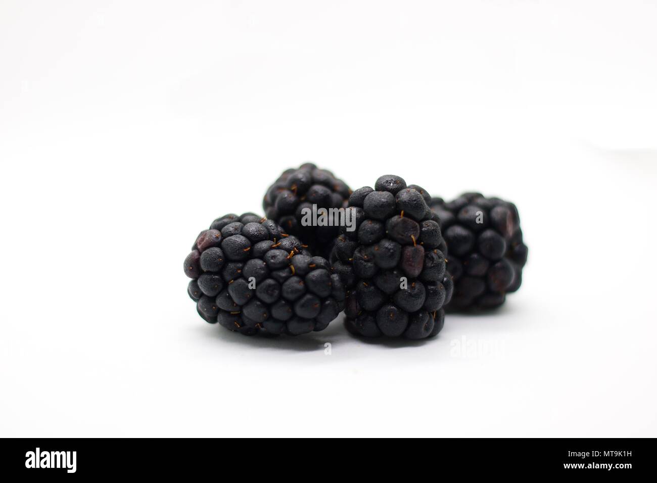 Four blackberries on white background, isolated. Freshly picked forest fruit with droplets of dew on it. Stock Photo