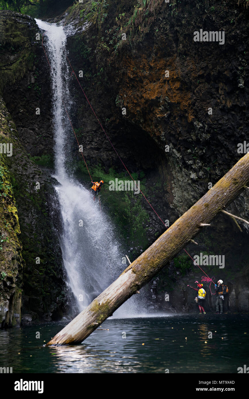one man rappels down a waterfall while canyoneering Stock Photo - Alamy