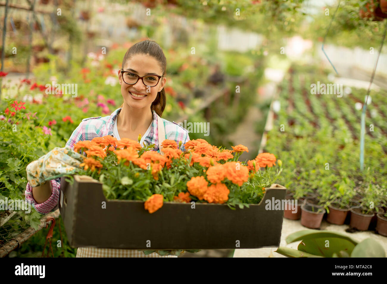 Pretty young woman holding a box full of spring flowers in the greenhouse Stock Photo