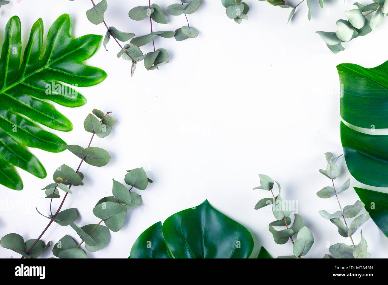 green tropical leaves frame over white background Stock Photo - Alamy