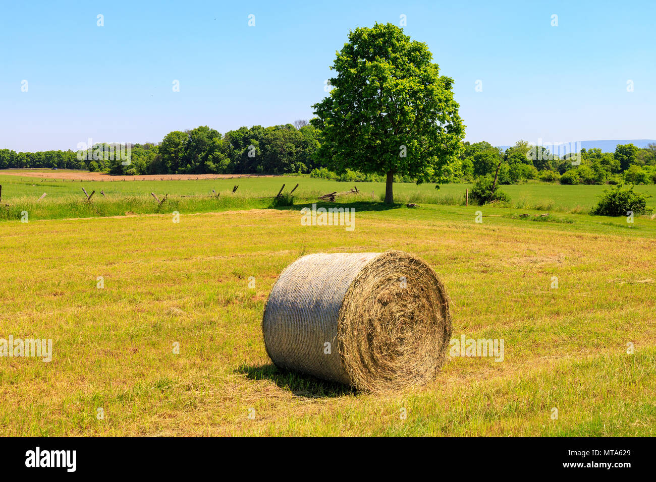 A round hay bale in a meadow Stock Photo - Alamy