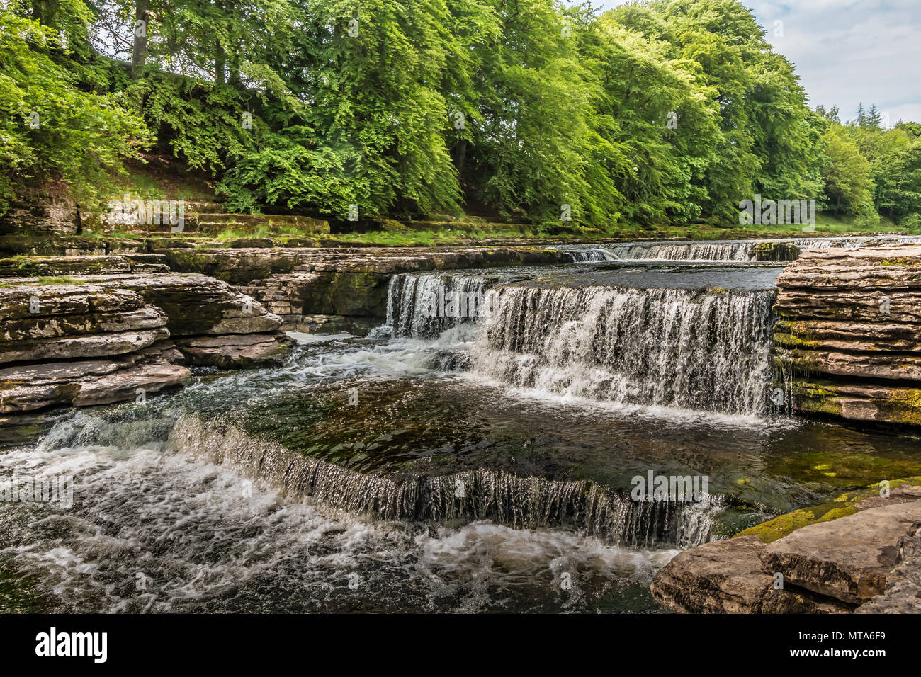 Lower Falls, Aysgarth, Wensleydale, Yorkshire Dales National Park, UK in late spring with very low water level Stock Photo