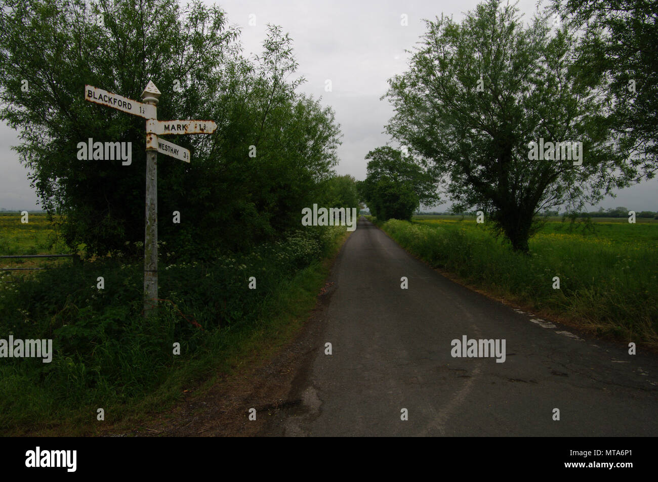 Somerset Levels, England Stock Photo Alamy