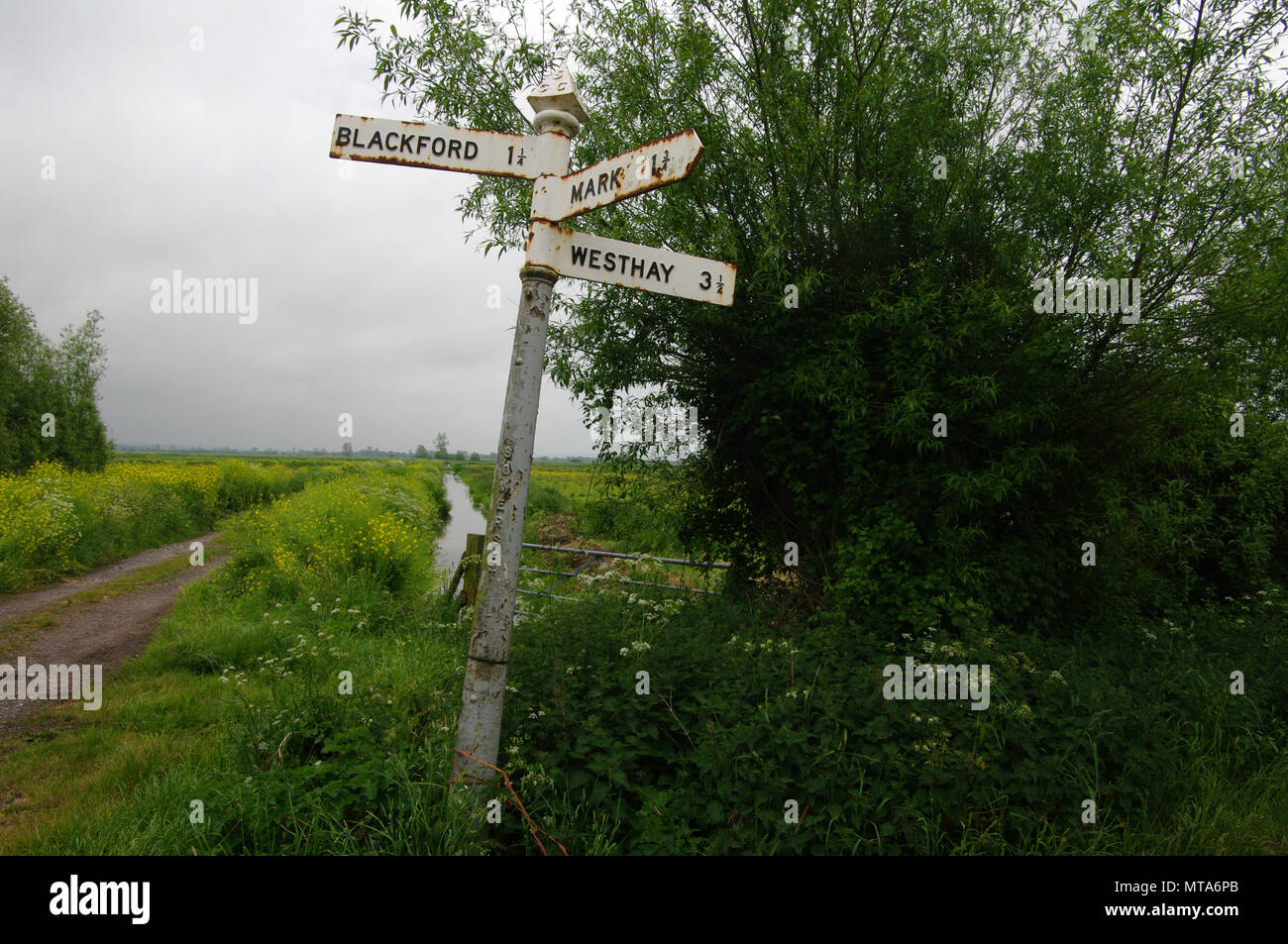 Somerset Levels, England Stock Photo Alamy