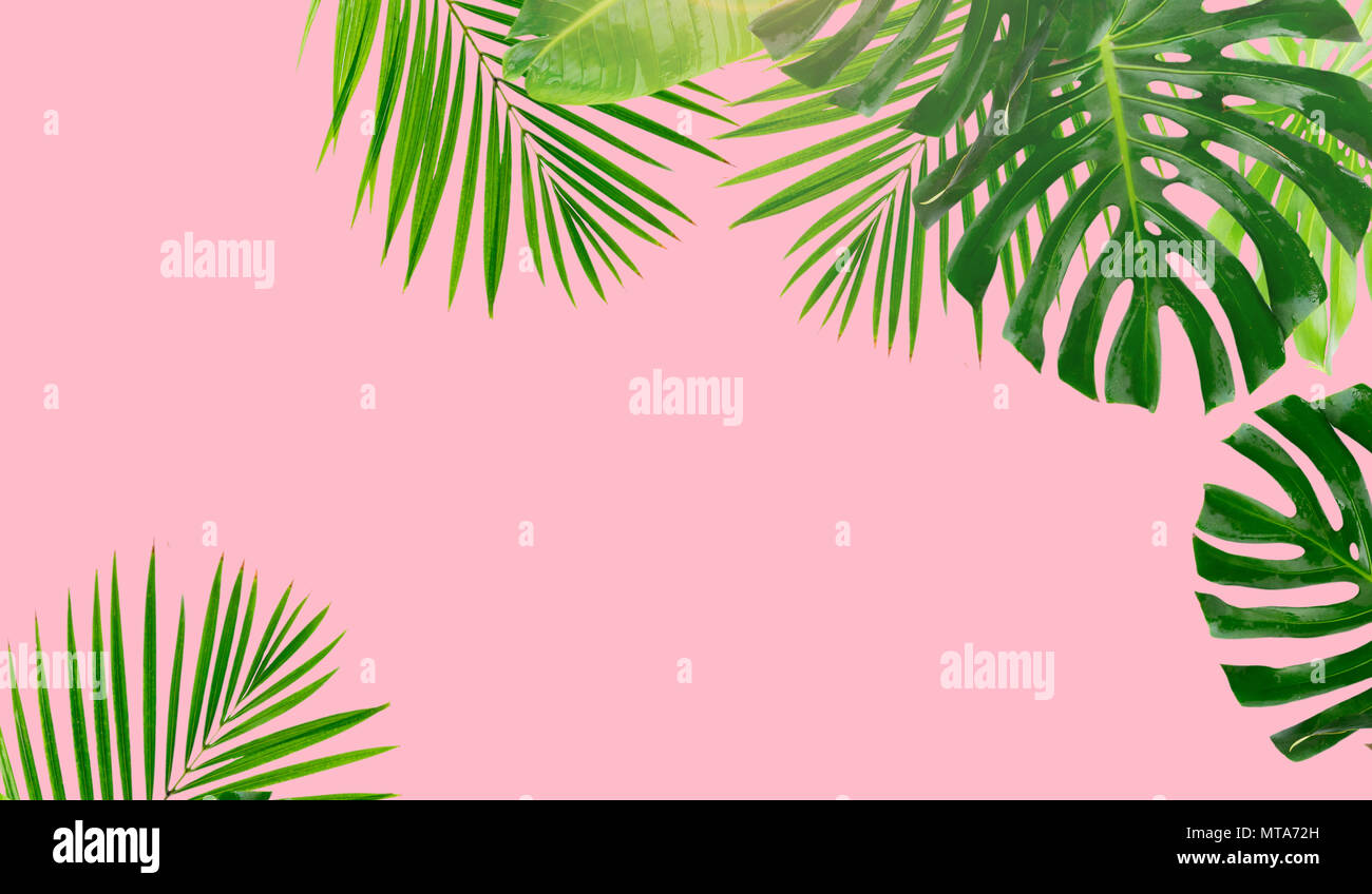 pastel green and pink background
