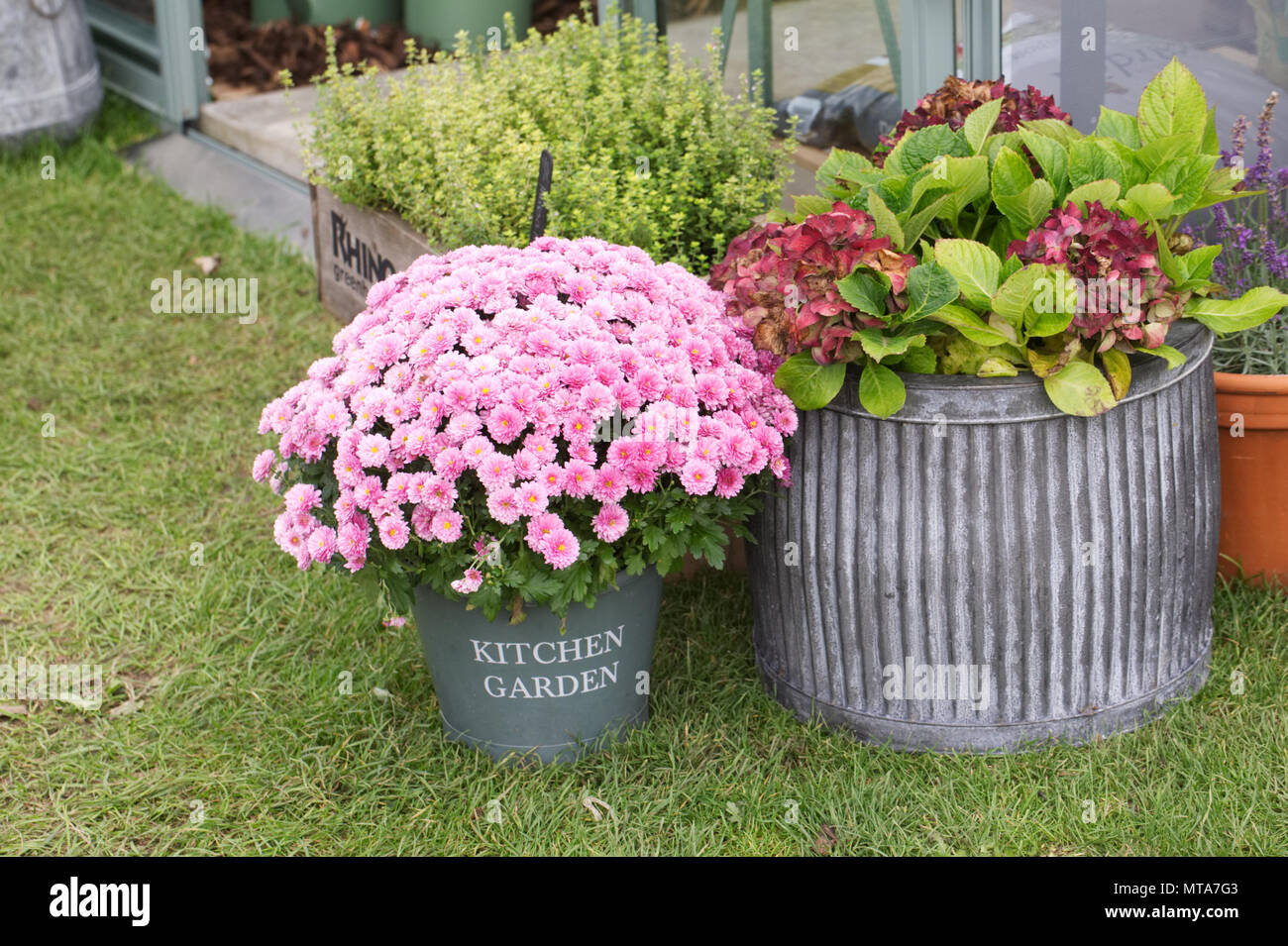 Planted containers outside a greenhouse. Stock Photo