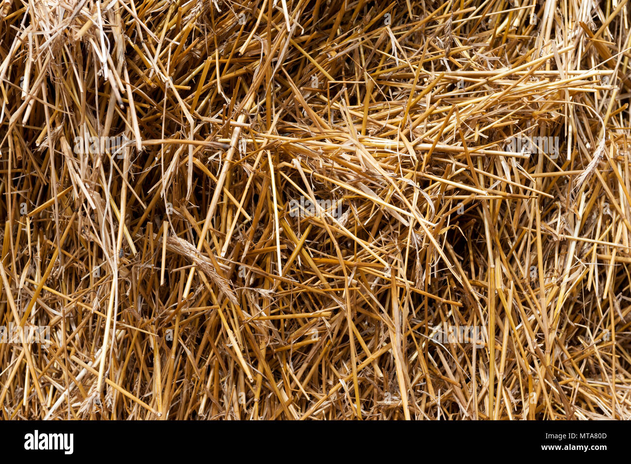 Straw Hay Bale Background Images, HD Pictures and Wallpaper For Free  Download