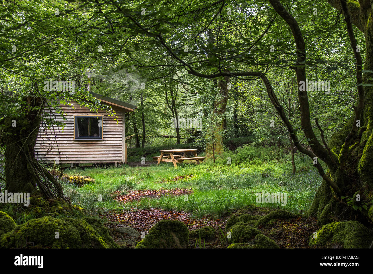 Correction make out Do housework Cabin in the woods at Glencoe Scotland. Sun highlighting cabin and trees  framed by dark trees Stock Photo - Alamy