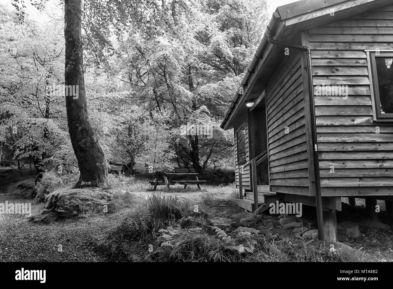 Cabin forest Black and White Stock Photos & Images - Alamy