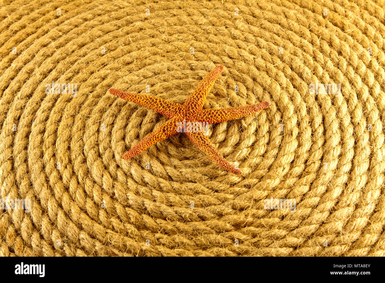 starfish on rope coiled in a circle from above Stock Photo - Alamy