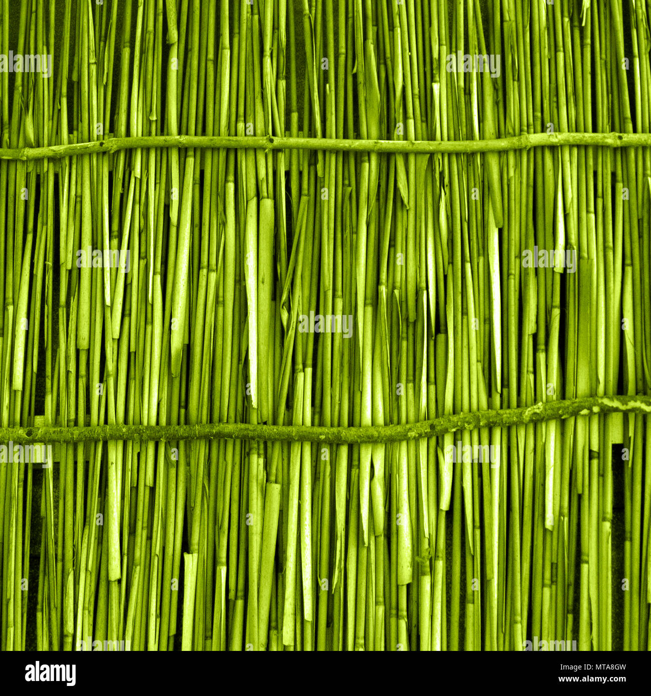 A wooden background with vertical reeds Stock Photo - Alamy