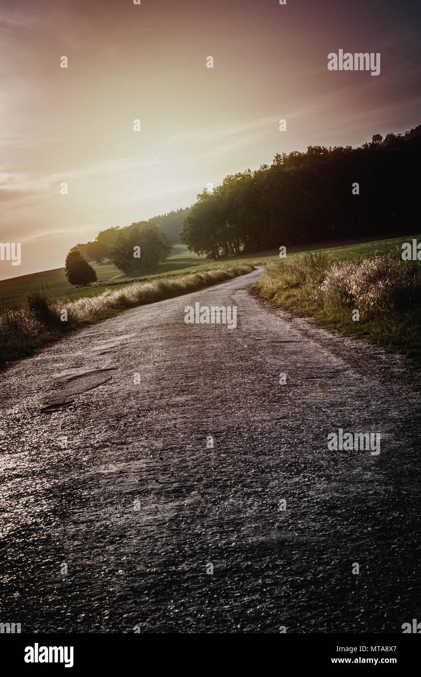 Green field and road in summer sunset Stock Photo - Alamy