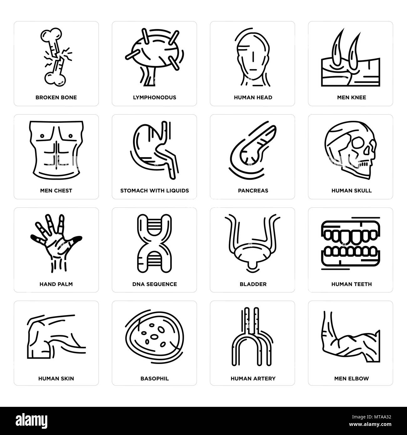 Set Of 16 simple editable icons such as Men Elbow, Human Artery, Basophil, Skin, Teeth, Broken Bone, Chest, Hand Palm, Pancreas can be used for mobile Stock Vector