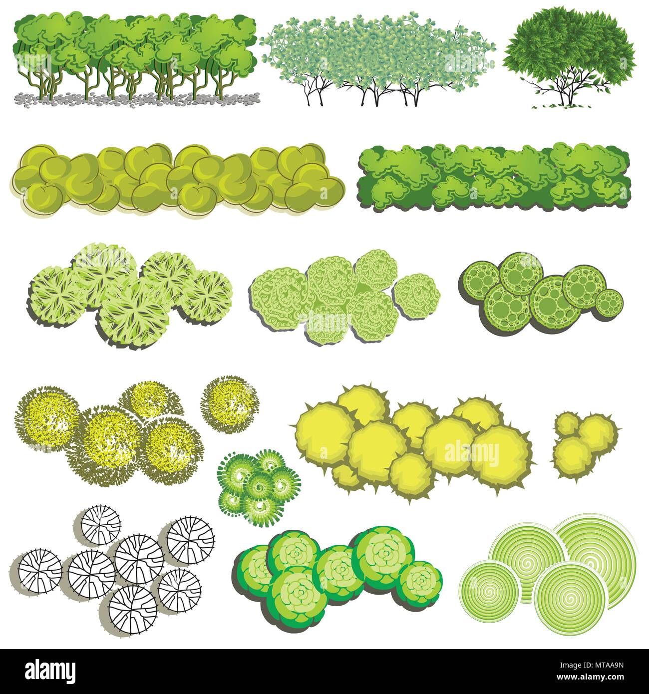albue ryste Korn Trees and bush item top view for landscape design, vector icon Stock Vector  Image & Art - Alamy